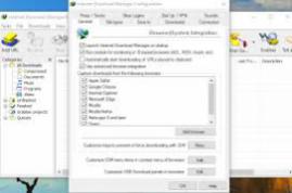 Internet Download Manager IDM 6