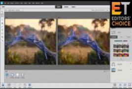 Adobe Photoshop Elements & Premiere Elements