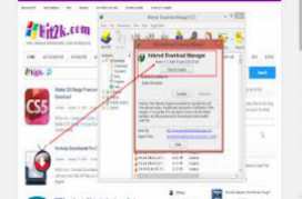 Internet Download Manager IDM 6
